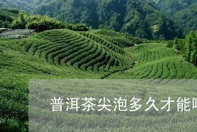 普洱茶尖泡多久才能喝/2023083026148