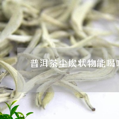 普洱茶尘埃状物能喝吗/2023092974924