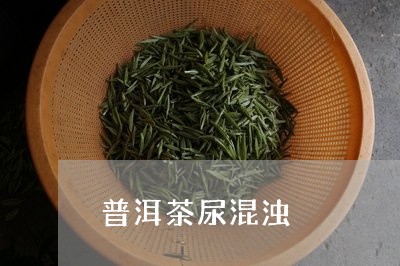 普洱茶尿混浊/2023091316278