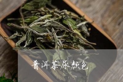 普洱茶尿颜色/2023042660266