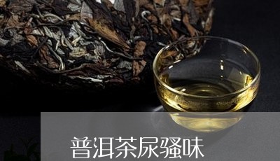 普洱茶尿骚味/2023042992464