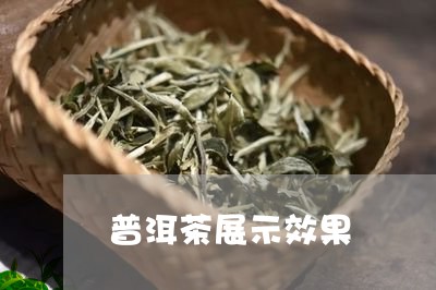 普洱茶展示效果/2023082663156