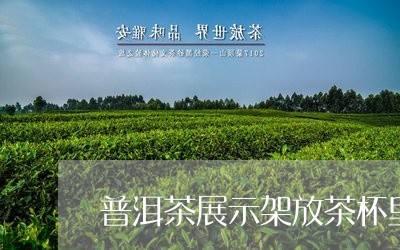 普洱茶展示架放茶杯里怎么放/2023052976598