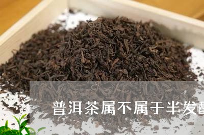 普洱茶属不属于半发酵茶/2023122000592