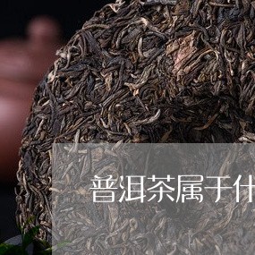 普洱茶属于什么云南沱茶属于什么茶/2023060314845