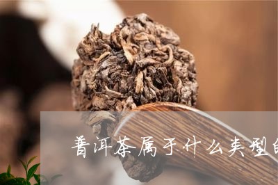 普洱茶属于什么类型的茶茶类/2023083040716