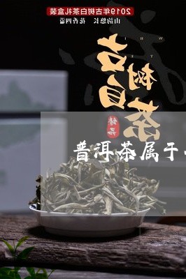 普洱茶属于什么类型茶种/2023121604058