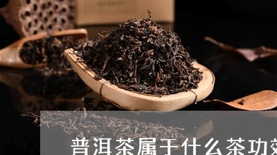 普洱茶属于什么茶功效和作用/2023121661571