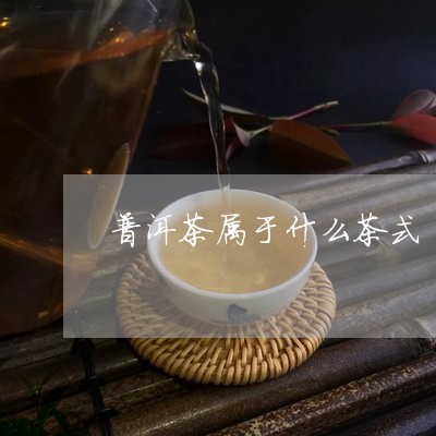 普洱茶属于什么茶式/2023070994027