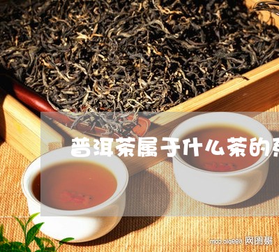 普洱茶属于什么茶的系列产品/2023110224737