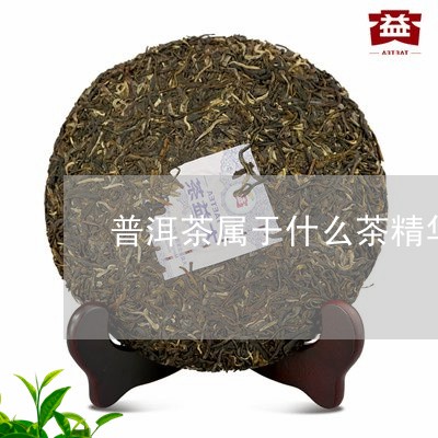 普洱茶属于什么茶精华类型/2023110674946