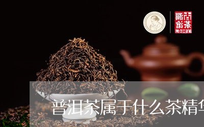 普洱茶属于什么茶精华类型/2023121630682