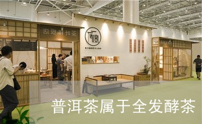 普洱茶属于全发酵茶/2023091547381