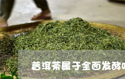 普洱茶属于全面发酵吗/2023080296939