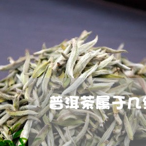 普洱茶属于几级茶区域类别/2023110451602