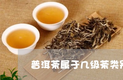 普洱茶属于几级茶类别的/2023102547471