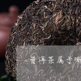 普洱茶属于哪一种茶叶类/2023083068503