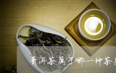 普洱茶属于哪一种茶类的功效/2023052959383