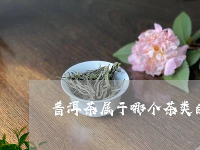 普洱茶属于哪个茶类的一种/2023112404837