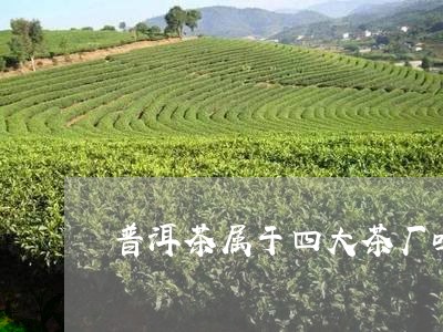 普洱茶属于四大茶厂吗/2023061762695