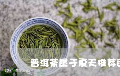 普洱茶属于夏天推荐的吗/2023121615048