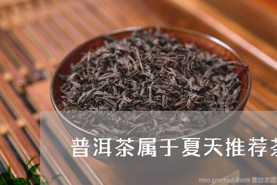 普洱茶属于夏天推荐茶吗/2023121679271