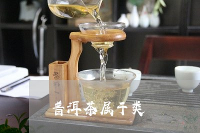 普洱茶属于类/2023042933790