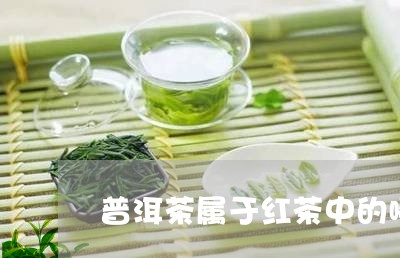 普洱茶属于红茶中的哪一种茶/2023082602614