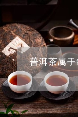 普洱茶属于红茶茶嘛么/2023083096391