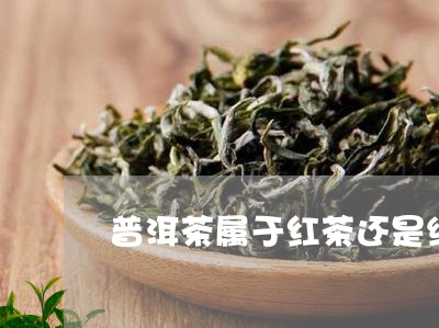 普洱茶属于红茶还是绿茶还是黄茶/2023060298472