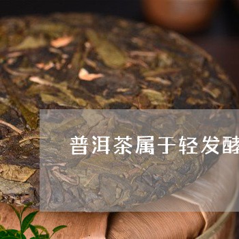普洱茶属于轻发酵茶类吗/2023122048393