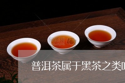 普洱茶属于黑茶之类吗/2023080381593