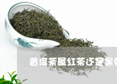 普洱茶属红茶还是黑荣/2023062196283