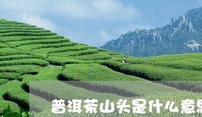 普洱茶山头是什么意思/2023061417103