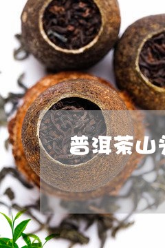 普洱茶山头茶/2023042637078