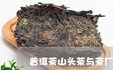 普洱茶山头茶与茶厂茶/2023080389582