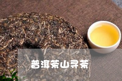 普洱茶山寻茶/2023042968709