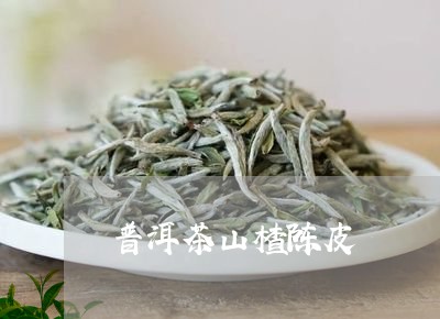 普洱茶山楂陈皮/2023070981793