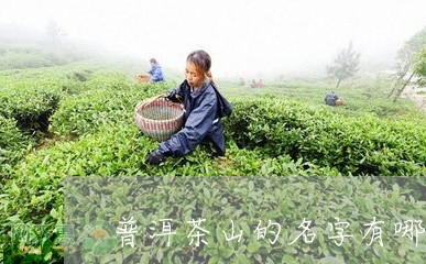 普洱茶山的名字有哪些/2023061440504