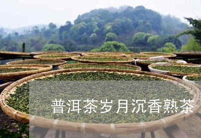 普洱茶岁月沉香熟茶/2023091491494