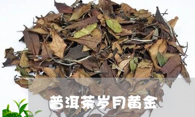 普洱茶岁月黄金/2023101658279