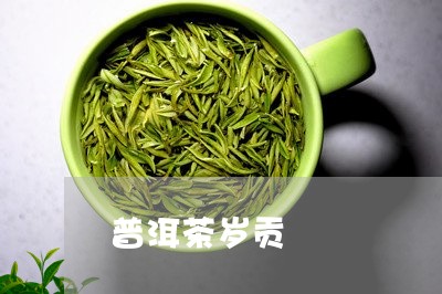 普洱茶岁贡/2023102504147