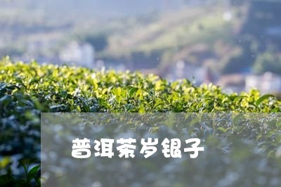 普洱茶岁银子/2023042732162