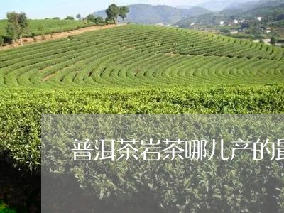 普洱茶岩茶哪儿产的最好/2023112849502