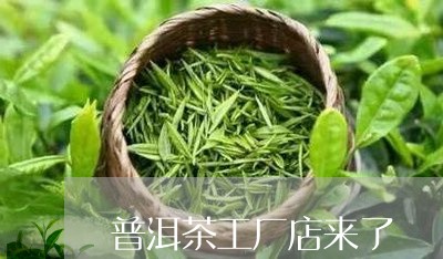 普洱茶工厂店来了/2023081686370