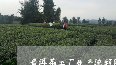 普洱茶工厂生产流程图片/2023112795938