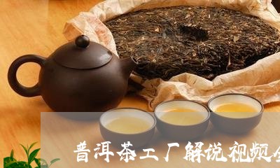 普洱茶工厂解说视频全集/2023110651806