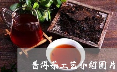 普洱茶工艺介绍图片高清/2023110680483