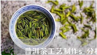 普洱茶工艺制作s分析/2023092597059