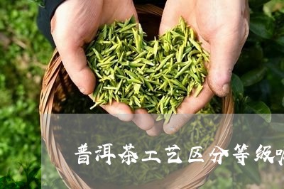 普洱茶工艺区分等级嘛/2023121653728